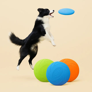Frisbee Morbido e Resistente per Cani – Gioco da Riporto, Addestramento e Divertimento all'Aperto - AmiciFidati