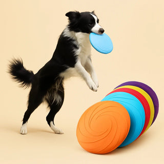 Frisbee Morbido e Resistente per Cani – Gioco da Riporto, Addestramento e Divertimento all'Aperto - AmiciFidati