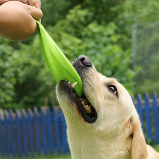 Frisbee Morbido e Resistente per Cani – Gioco da Riporto, Addestramento e Divertimento all'Aperto - AmiciFidati