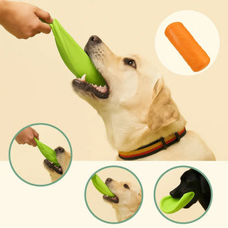 Frisbee Morbido e Resistente per Cani – Gioco da Riporto, Addestramento e Divertimento all'Aperto - AmiciFidati