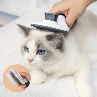 Spazzola Rimuovi Pelo per Cani e Gatti – Pettine Massaggiante con Pulsante Clean - Up | Inox, Ergonomica, Anti Grovigli - AmiciFidati