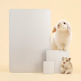 Tappetino Refrigerante in Alluminio per Conigli, Cavie, Criceti e Piccoli Animali - AmiciFidati