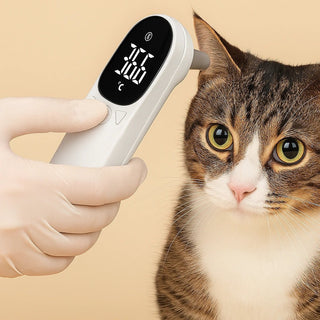 Termometro Digitale LED per Animali - Alta Precisione per Cani, Gatti e Cuccioli | Ideale per Veterinari e Uso Domestico - AmiciFidati