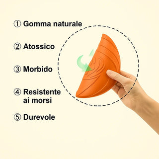 Frisbee Morbido e Resistente per Cani – Gioco da Riporto, Addestramento e Divertimento all'Aperto - AmiciFidati