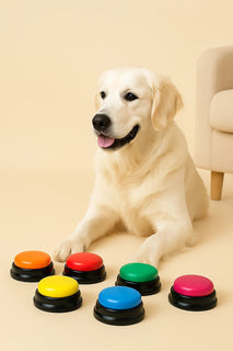 Pulsanti Parlanti per Addestramento Cani e Gatti – Set Registrabile con Luci per Giochi Interattivi - AmiciFidati