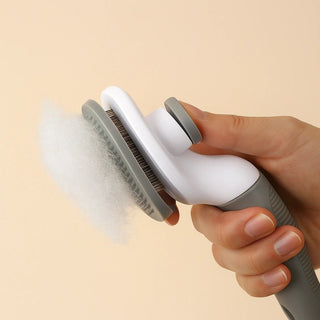 Spazzola Rimuovi Pelo per Cani e Gatti – Pettine Massaggiante con Pulsante Clean - Up | Inox, Ergonomica, Anti Grovigli - AmiciFidati