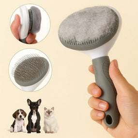 Spazzola Rimuovi Pelo per Cani e Gatti – Pettine Massaggiante con Pulsante Clean - Up | Inox, Ergonomica, Anti Grovigli - AmiciFidati