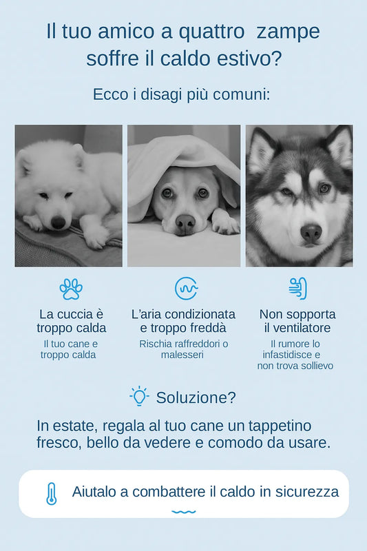 Disagi estivi comuni per cani e soluzione tappetino rinfrescante – grafica promozionale con esempi visivi