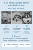 Disagi estivi comuni per cani e soluzione tappetino rinfrescante – grafica promozionale con esempi visivi
